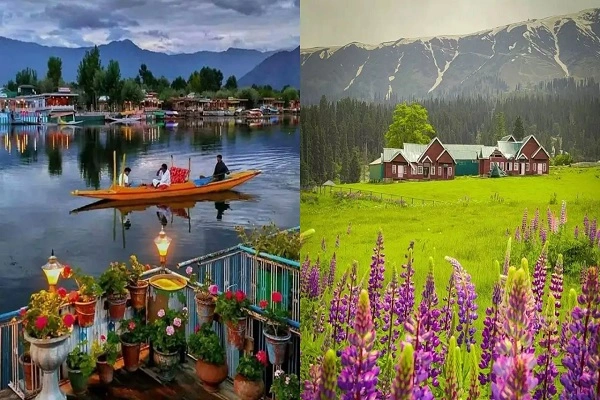 Jammu and Kashmir Cab Services